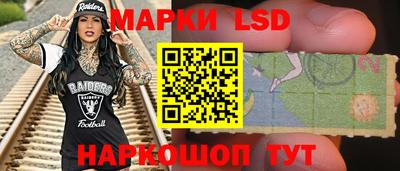 амф Гусев