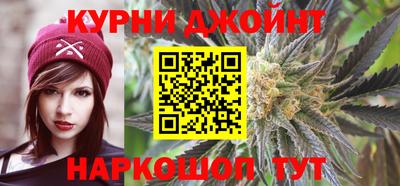 амф Гусев