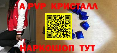 амф Гусев
