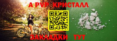 амф Гусев