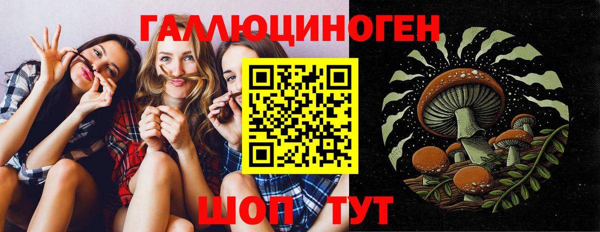 Псилоцибиновые грибы прущие грибы  Галлюциногенные грибы Magic Shrooms  Нерюнгри  Вход с VPN 